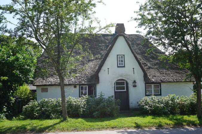thatched-roof-1616295_1920.jpg